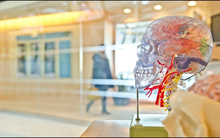 La humanidad podrá desempeñarse mejor si identifica claramente qué habilidades son difíciles de automatizar. UNSPLASH / J. Orrico