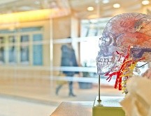 La humanidad podrá desempeñarse mejor si identifica claramente qué habilidades son difíciles de automatizar. UNSPLASH / J. Orrico