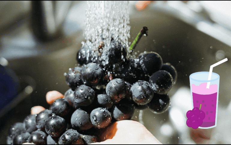 Antes de incluir un nuevo alimento o bebida a tu dieta, lo mejor es consultarlo con un especialista de la salud. UNSPLASH / M. KIM