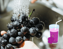 Antes de incluir un nuevo alimento o bebida a tu dieta, lo mejor es consultarlo con un especialista de la salud. UNSPLASH / M. KIM