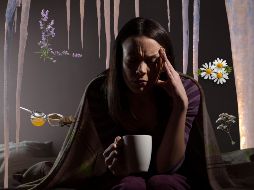 El invierno puede ser una época en la que resulta muy difícil conciliar el sueño debido al frío y al estrés de la temporada. ESPECIAL / CANVA