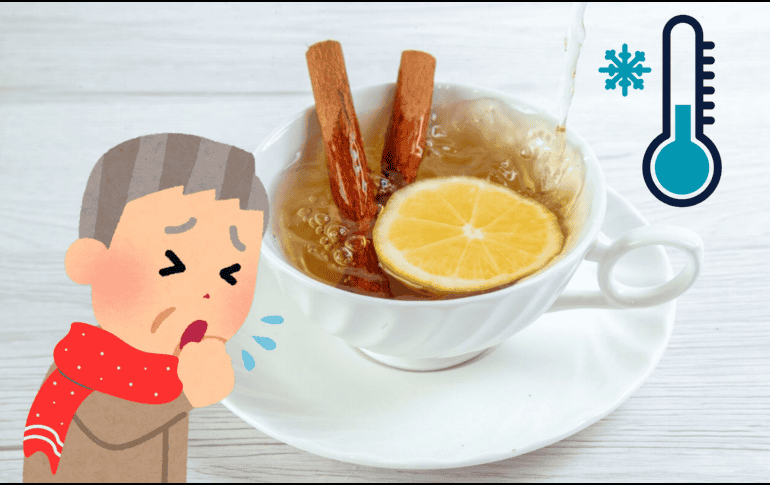 Consulta con un profesional de la salud antes de incorporar cualquier infusión nueva a tu dieta. FREEPIK / CANVA