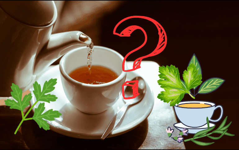 Estos son los usos del té de perejil que no conocías. ESPECIAL/ CANVA