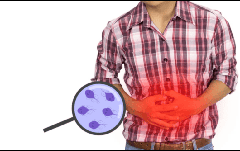 Esta enfermedad se transmite principalmente a través de alimentos o agua contaminados durante su preparación, así como al entrar en contacto con superficies infectadas. CANVA