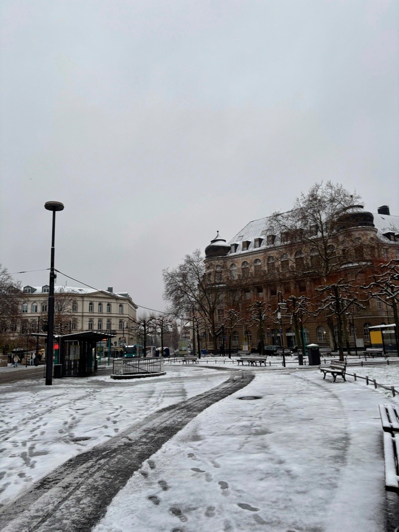 Frankfurt, Alemania. CORTESÍA 
