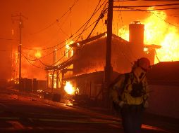 Desde este martes, bomberos de California luchaban contra incendios forestales impulsados por el viento. EFE / A. DINNER