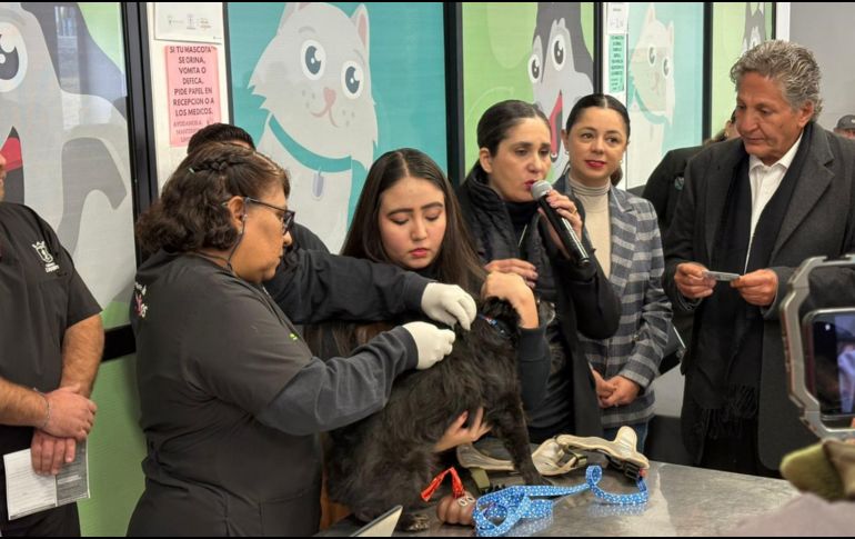 El programa arrancó oficialmente con la primera implantación de un chip en las instalaciones del CISAZ, donde también se ofrece el registro gratuito al adquirir el chip. ESPECIAL