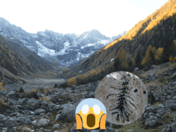 Este hallazgo permitió a los paleontólogos reconstruir el ecosistema que había en aquel entonces. Fickr / Pixabay