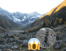 Este hallazgo permitió a los paleontólogos reconstruir el ecosistema que había en aquel entonces. Fickr / Pixabay