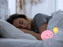 Científicos daneses descubrieron que una molécula llamada norepinefrina es la que desempeña el papel clave para efectuar ‘la limpieza del cerebro’ al dormir.ESPECIAL/Pexels y Canva