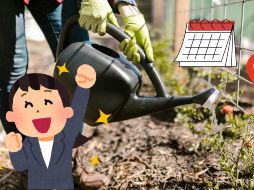 En un mundo cada vez más urbanizado, estos espacios nos permiten reconectar con la naturaleza. ESPECIAL / Pexels y CANVA