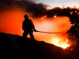 El incendio ha llevado al LAFD a emitir órdenes de evacuación obligatoria debido al riesgo para viviendas cercanas al parque Runyon Canyon, un lugar turístico emblemático de la ciudad. EFE / C. Brehman