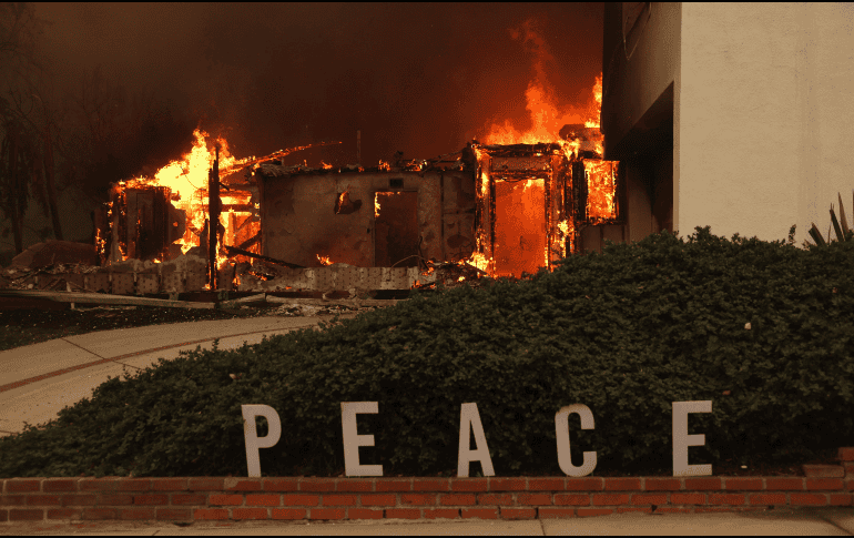 La velocidad del viento y la velocidad de propagación de las llamas están claramente vinculadas. EFE / A. Dinner