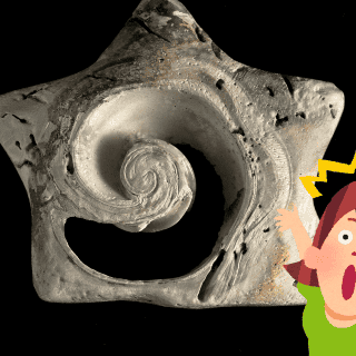 Descubren nuevos tipos de moluscos rebeldes