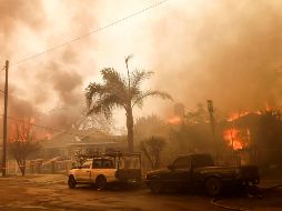 Cinco personas han muerto y miles han sido evacuadas de sus hogares y sitios donde se albergaban luego de los grandes incendios forestales que han azotado el sur de California. EFE / C. Brehman