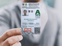 Te explicamos cómo reponer tu licencia, aplicable para los tipos A, A1 y A2. ESPECIAL