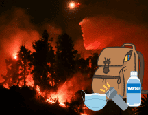 Los incendios forestales de California han causado múltiples daños en Los Ángeles y zonas cercanas. EFE / ALLISON DINNER / CANVA