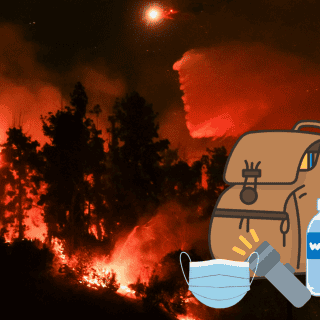 ¿Cómo evacuar de manera segura ante un incendio forestal como los de California?