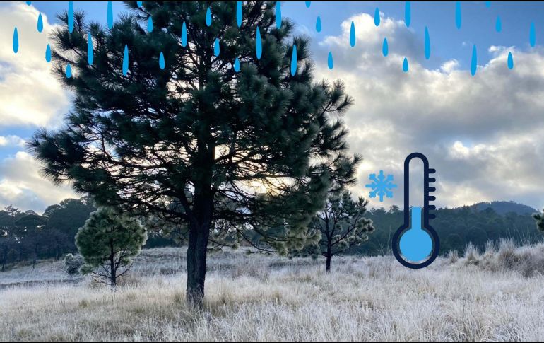 A finales del mes e inicios de febrero, podría llegar otra masa polar-ártica, ligeramente de menor relevancia, pero ayudando a tener condiciones invernales.  SUN / ARCHIVO