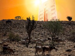 Expertos señalan que los pasados diez años (2015-2024) han sido los más cálidos de todos los que están documentados, un claro indicio de que el calentamiento global está alcanzando niveles críticos. ESPECIAL / EL INFORMADOR y CANVA