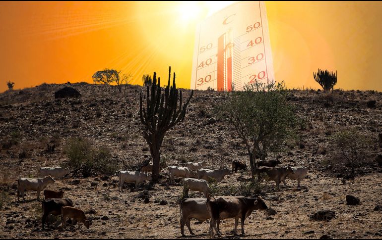 Expertos señalan que los pasados diez años (2015-2024) han sido los más cálidos de todos los que están documentados, un claro indicio de que el calentamiento global está alcanzando niveles críticos. ESPECIAL / EL INFORMADOR y CANVA