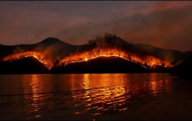 Procurar el cuidado y la prevención constantes pueden hacer la diferencia en la protección de vidas y propiedades frente a incendios forestales. ESPECIAL/PEXELS