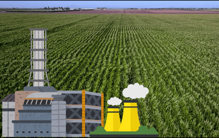 Con esto se busca contribuir a la seguridad alimentaria y a una mayor sostenibilidad de las prácticas productivas. EFE/ ARCHIVO/ ESPECIAL/ CANVA