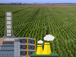 Con esto se busca contribuir a la seguridad alimentaria y a una mayor sostenibilidad de las prácticas productivas. EFE/ ARCHIVO/ ESPECIAL/ CANVA