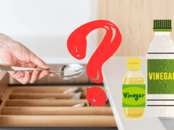 El vinagre blanco tiene múltiples beneficios para la salud, y sus efectos son especialmente más efectivos si se toma por las mañanas. ESPECIAL/ CANVA