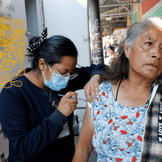 Experto de la UNAM advierte sobre alto contagio de la influenza H5N1 en 2025