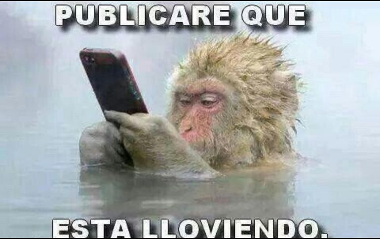 Imágenes de personas envueltas en cobijas 