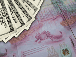 Es importante recordar que la cotización del dólar se actualiza a lo largo del día, por lo que es necesario revisarla constantemente si se requiere para alguna ejecución financiera. EL INFORMADOR / O. Álvarez