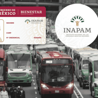 Viaja GRATIS en estos transportes públicos presentando tu Inapam