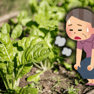 Conoce los cinco alimentos que te ayudan con la fatiga