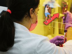 Expertos considerar que serán cada vez más frecuentes las 