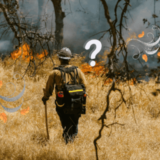 Qué son los vientos de Santa Ana y cómo impactan en los incendios de California