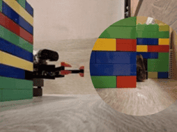 Las ratas marcan lugares distantes que deben evitar tras experiencias negativas y piensan en esos sitios incluso después de marcharse. EFE/ Redish Lab/University of Minnesota/ ESPECIAL