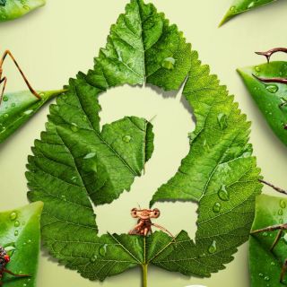 Los dos estrenos imperdibles de hoy en Disney+