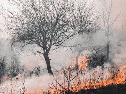 Enciende fuego en otra ciudad de California, Estados Unidos. ESPECIAL/CANVA