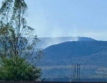 Equipos de la Secretaría de Seguridad y Protección Ciudadana, se encuentran movilizados hacia la zona para realizar labores de búsqueda, rescate y atención. ESPECIAL.