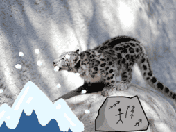 Los leopardos de las nieves viven en gran altura, a más de 2 mil metros, principalmente en el Himalaya, y están en peligro de extinción, ya que solo quedan unos 4 mil ejemplares. EFE/Mike Nelson/ ESPECIAL/ CANVA