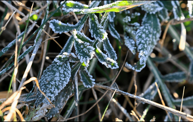 Se pronostican lluvias muy intensas en varios estados de México. EFE / ARCHIVO
