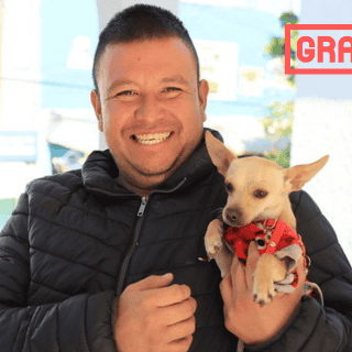 Habrá campañas de esterilización animal gratuita en Tlaquepaque