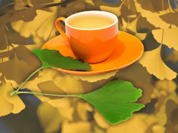 El ginkgo biloba se utiliza en personas con insuficiencia circulatoria cerebral, vértigo, tinnitus e incluso para el tratamiento de problemas emocionales y afectivos. EFE / ARCHIVO