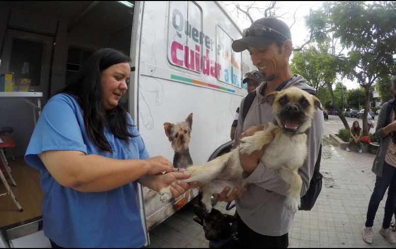 Desde el portal Experto Animal manifiestan que las vacunas juegan un papel fundamental en la prevención de enfermedades graves e incluso mortales en perros y gatos. EL INFORMADOR / ARCHIVO