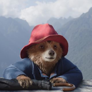 La recomendación de hoy en la cartelera de cine es “Paddington 3: Aventura en la selva”