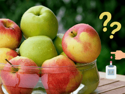 Cada tipo de manzana tiene sus propias características y beneficios. ESPECIAL/CANVA