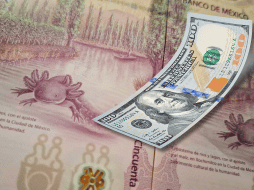 La depreciación semanal del peso se debió principalmente al nerviosismo del mercado en anticipación a la toma de protesta de Donald Trump. EL INFORMADOR / O. Álvarez