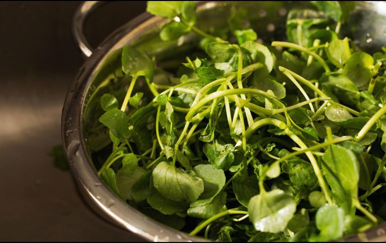 Este alimento es rico en fibra, folatos, vitamina C, vitamina A, calcio y hierro. ESPECIAL / CANVA