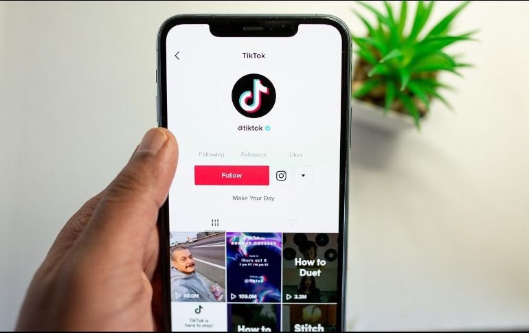 Este sábado el presidente electo estadounidense, Donald Trump, afirmó que 